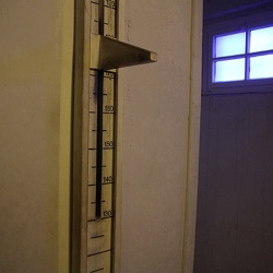Buchenwald