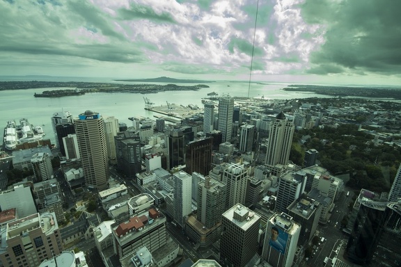 NZ DIAS 01 0410