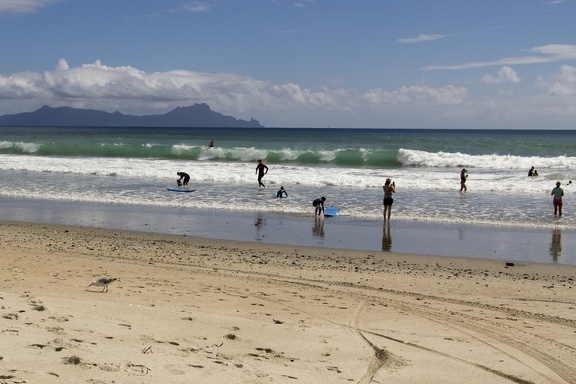 NZ DIAS 01 0860