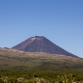 NZ DIAS 02 0380