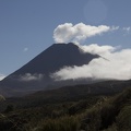 NZ DIAS 02 0730